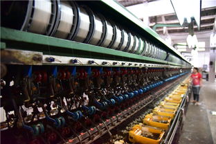 工業遺存煥新顏 珠三角繅絲廠變身廣東首家蠶桑絲織研學基地